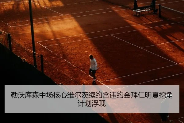 勒沃库森中场核心维尔茨续约含违约金拜仁明夏挖角计划浮现 - Kaiyuan Games